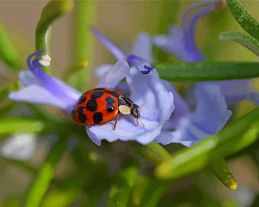 Ladybug On Rosemary Paint By Number