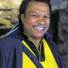 Lando Calrissian Paint By Number