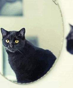 Mirror Cat Reflection Paint By Number