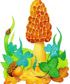 Morel Mushroom Illustration Paint By Number