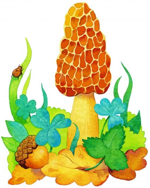 Morel Mushroom Illustration Paint By Number