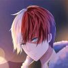 My Hero Academia Todoroki Shoto Paint By Number