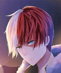 My Hero Academia Todoroki Shoto Paint By Number