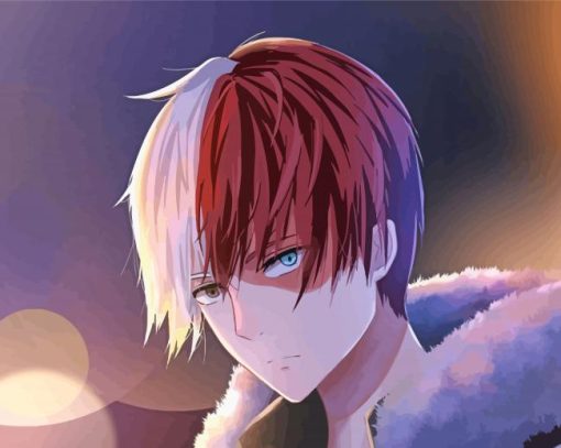 My Hero Academia Todoroki Shoto Paint By Number