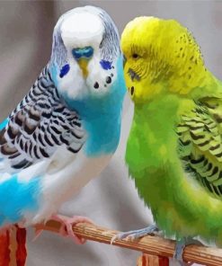 Parakeets Paint By Number