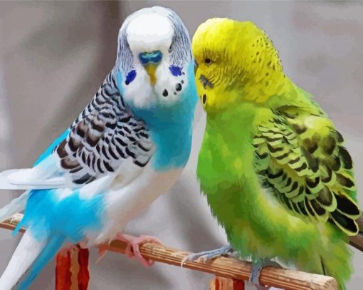 Parakeets Paint By Number