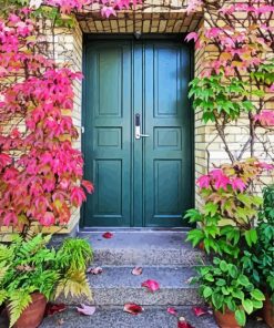 Pink Flower Door Paint By Number