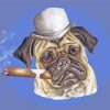 Pug With A Cigar Illustration Paint By Number