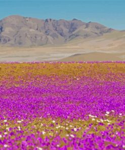 Purple Landscape Blooming Desert Paint By Number