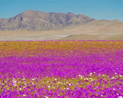 Purple Landscape Blooming Desert Paint By Number