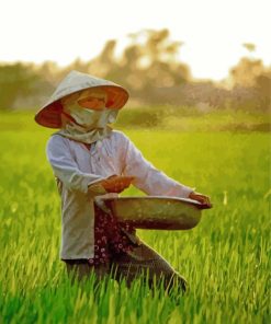 Rice Planting In Vietnam Paint By Number