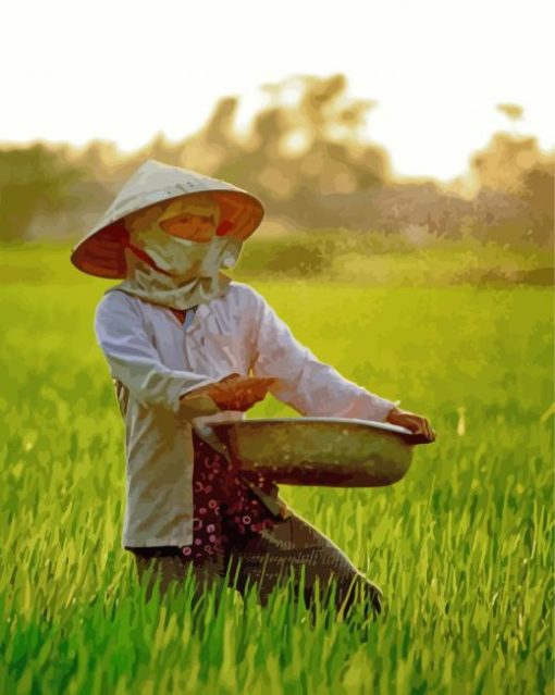 Rice Planting In Vietnam Paint By Number