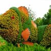 Topiary Nemo Fish Paint By Number