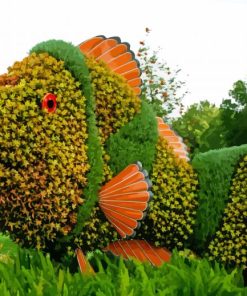 Topiary Nemo Fish Paint By Number