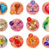 Twelve Zodiac Signs Paint By Number