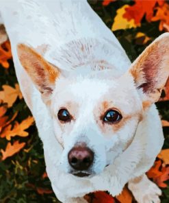 White Small Jack Russell Paint By Number