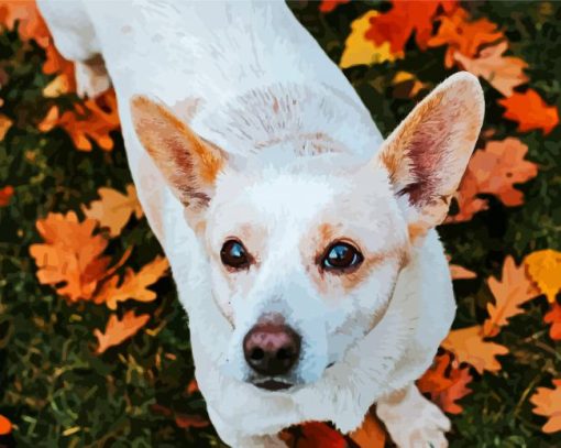 White Small Jack Russell Paint By Number