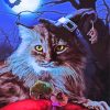 Witch Cat At Night Paint By Number