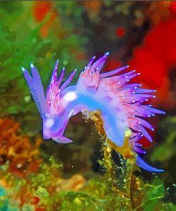 Wonder Sea Slug Paint By Number