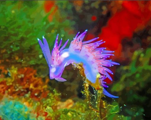 Wonder Sea Slug Paint By Number