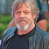 American Actor Mark Hamill Paint By Number