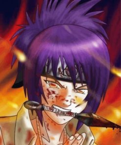 Anko Mitarashi Anime Character Paint By Number