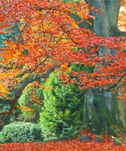 Autumn Beech Trees Paint By Number