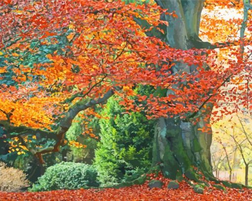 Autumn Beech Trees Paint By Number