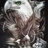 Black And White Eagle And Wolf Paint By Number