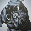 Black Sad Dog Paint By Number