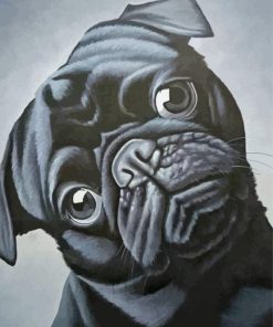 Black Sad Dog Paint By Number