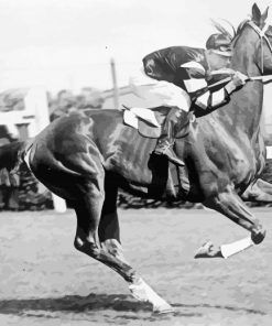 Black And White Phar Lap Paint By Number