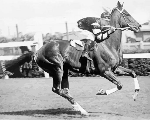 Black And White Phar Lap Paint By Number