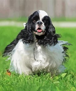 Black And White Cocker Spaniel Paint By Number