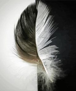 Black And White Feathers Paint By Number