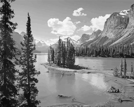 Black And White Landscape Nature Paint By Number