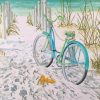 Blue Bike Sand Dunes Paint By Number