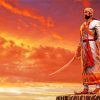 Chhatrapati Shivaji Maharaj With Swords Paint By Number