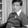 Civil Rights Activist Cesar Chavez Paint By Number