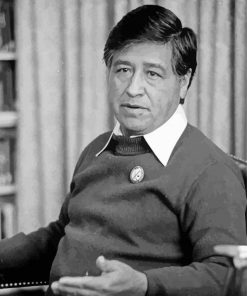 Civil Rights Activist Cesar Chavez Paint By Number