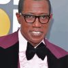 Classy Wesley Snipes Paint By Number