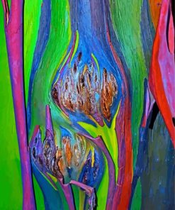 Close Up Rainbow Eucalyptus Tree Paint By Number