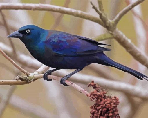 Common Grackle On Stick Paint By Number