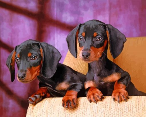 Dachshund Miniature Puppies Paint By Number