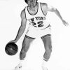 Dave DeBusschere Basketballer Paint By Number