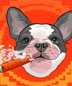 Dog With Cigar Illustration Paint By Number