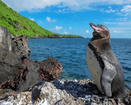 Galapagos Penguin Bird Paint By Number