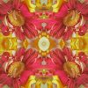 Gerberas Flower Kaleidoscope Paint By Number