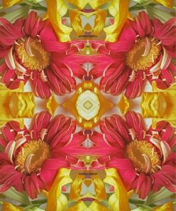 Gerberas Flower Kaleidoscope Paint By Number