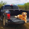 Golden Retriever Ride In Truck Paint By Number